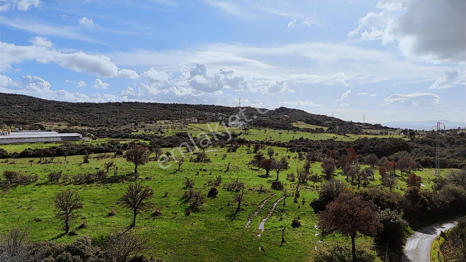 Realiva'dan Bergama Örlemişte Yola Cephe Satılık Tarla - Görsel 5