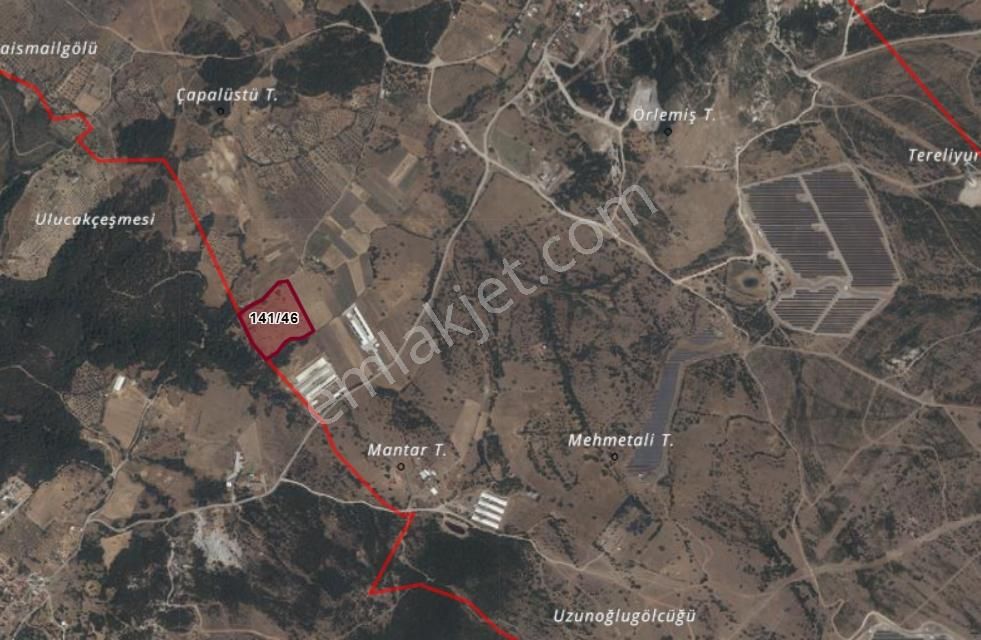 Realiva'dan Bergama Örlemişte Yola Cephe Satılık Tarla - Görsel 6