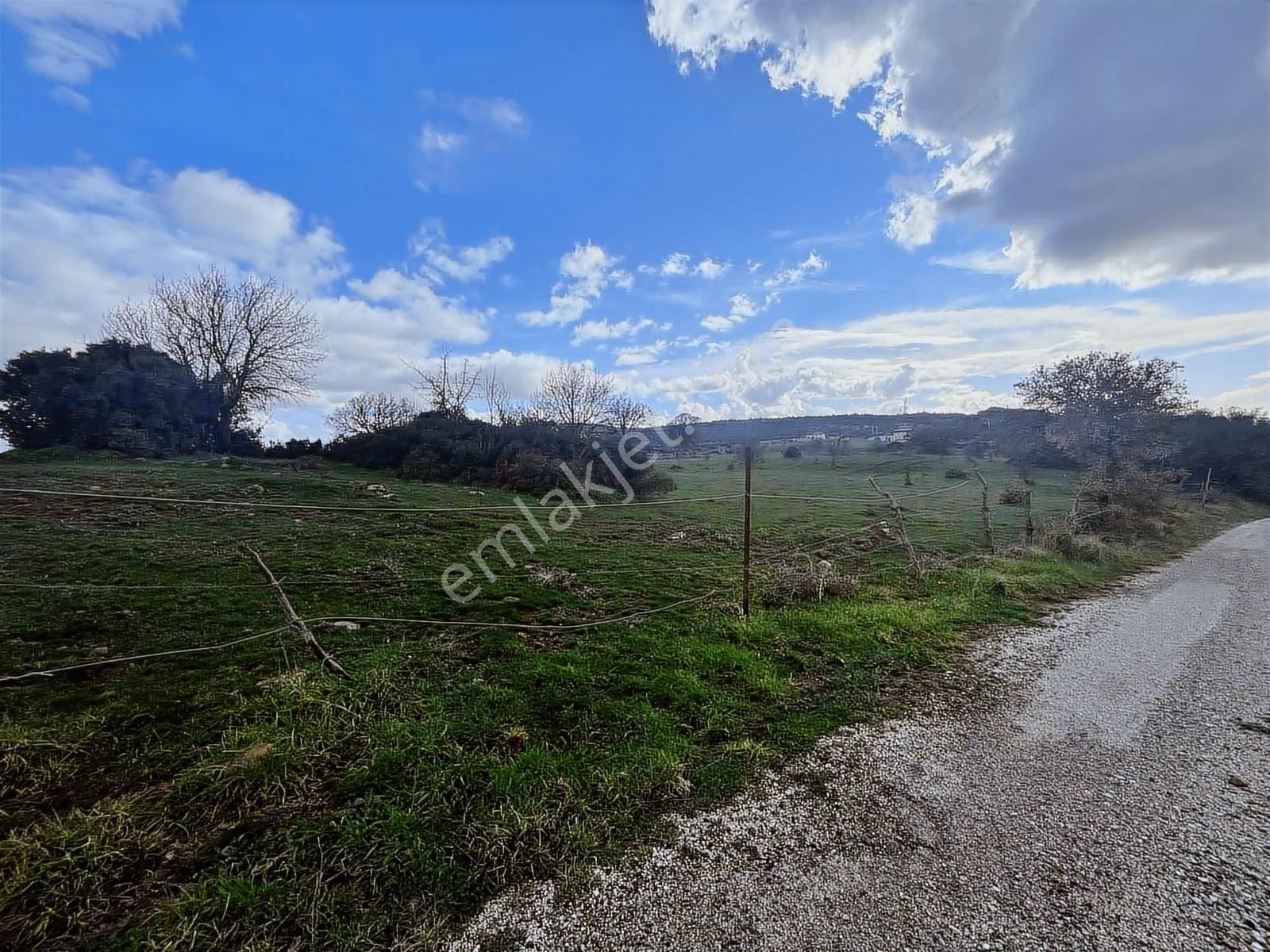 Realiva'dan Bergama Örlemişte Yola Cephe Satılık Tarla - Görsel 3