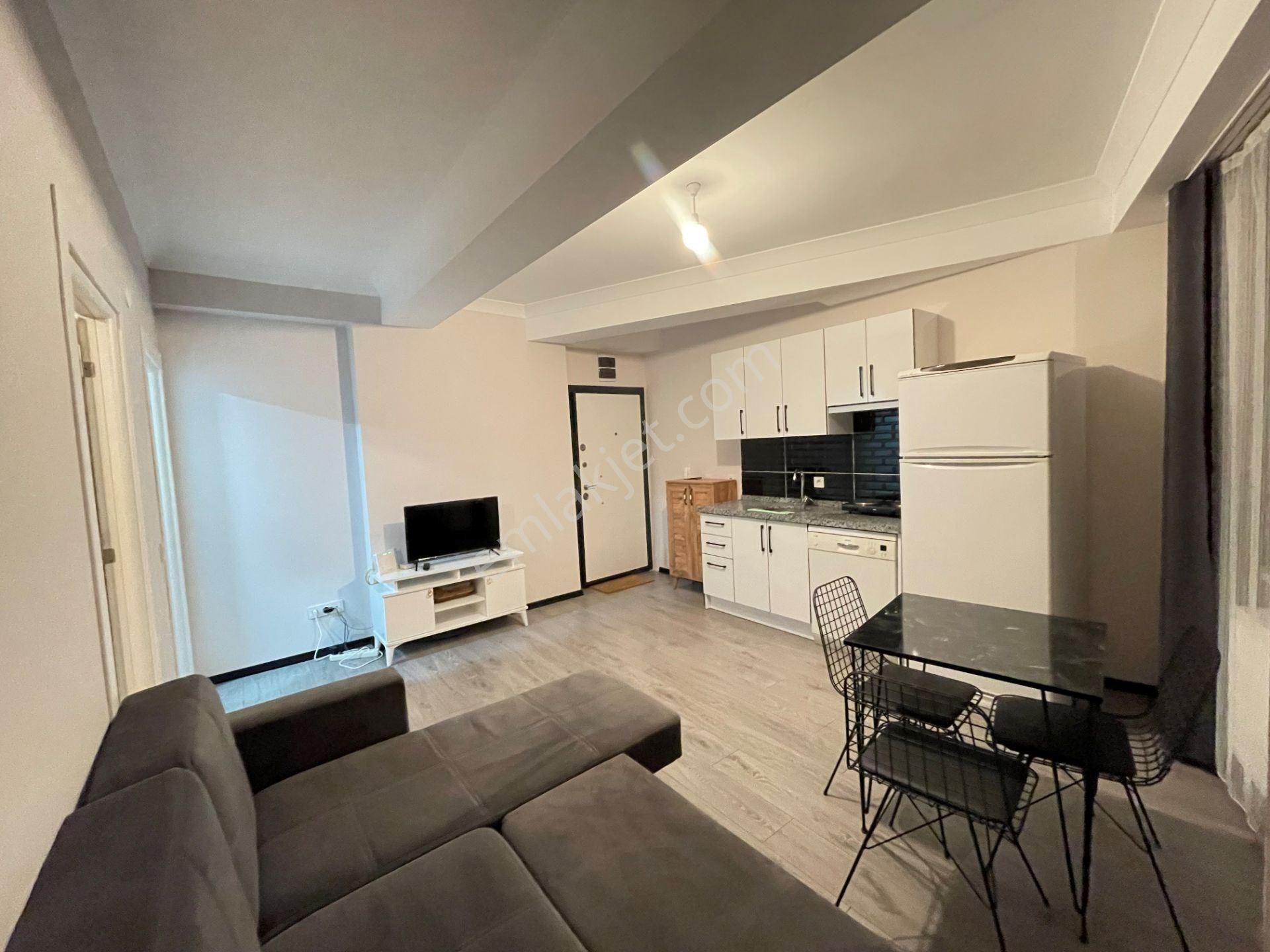 Ataşehir, Yeditepe Ve Marmara Üni. Karşısı, 7/24 Güvenlikli Yeni Binada Eşyalı 1+1 - Görsel 7