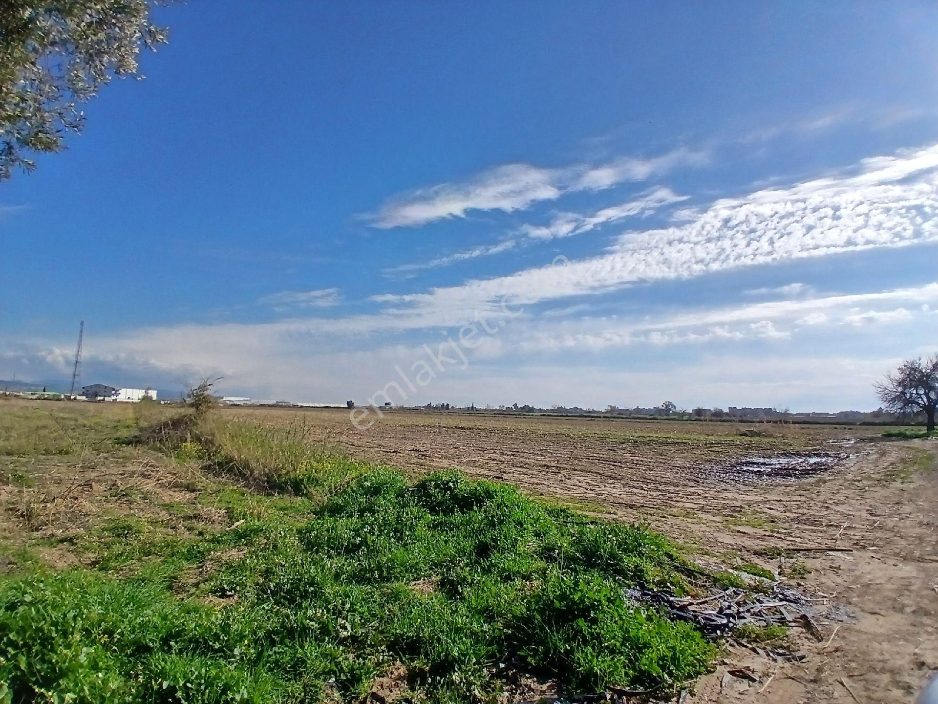 Manavgata Yakın Köyde Tek Tapu Kadastro Yola Cephe Tarla