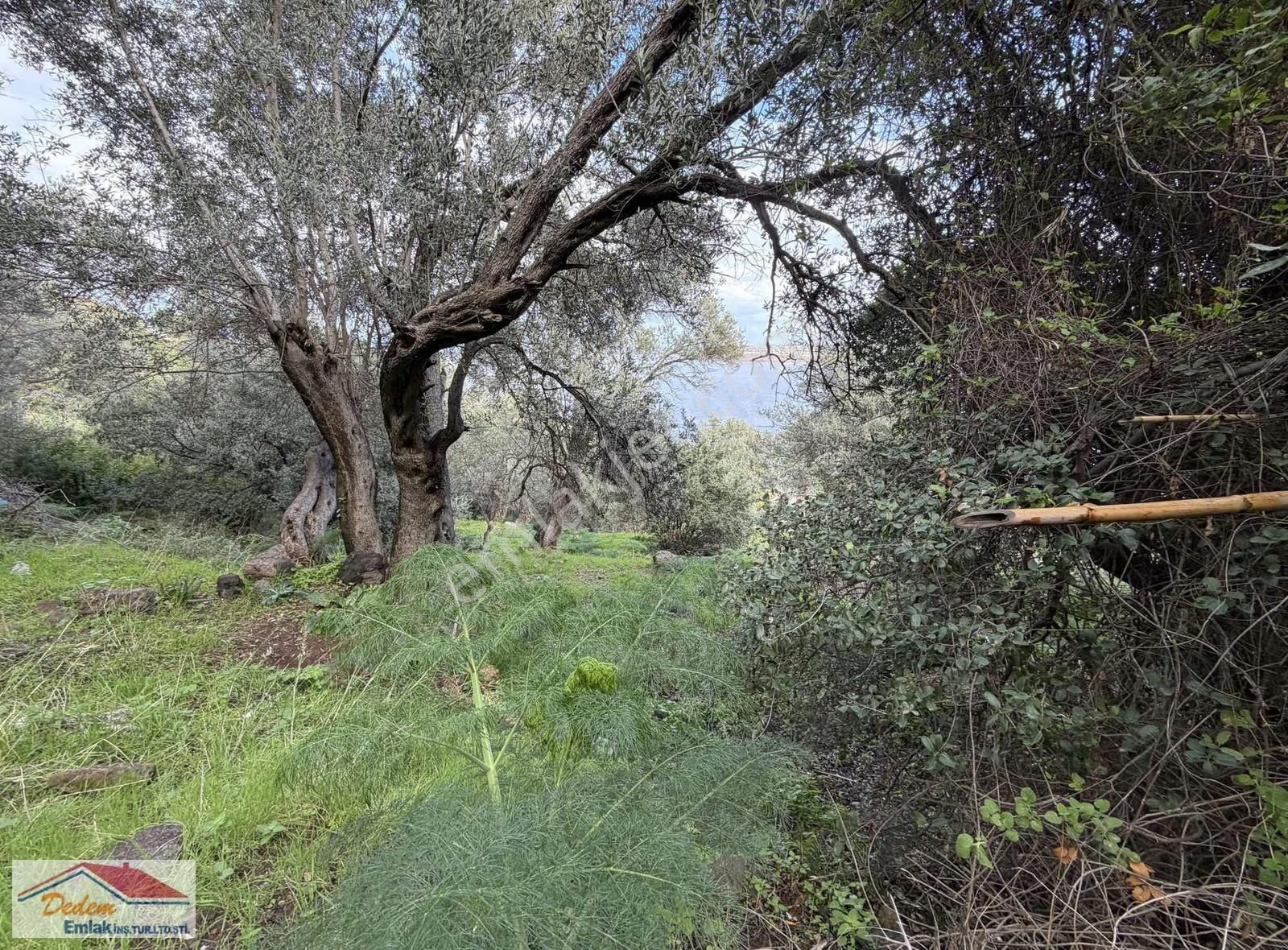 Bodrum Gündoğan Deniz Manzara Ve Denize 2 Parsel Satılık Arsa - Görsel 8