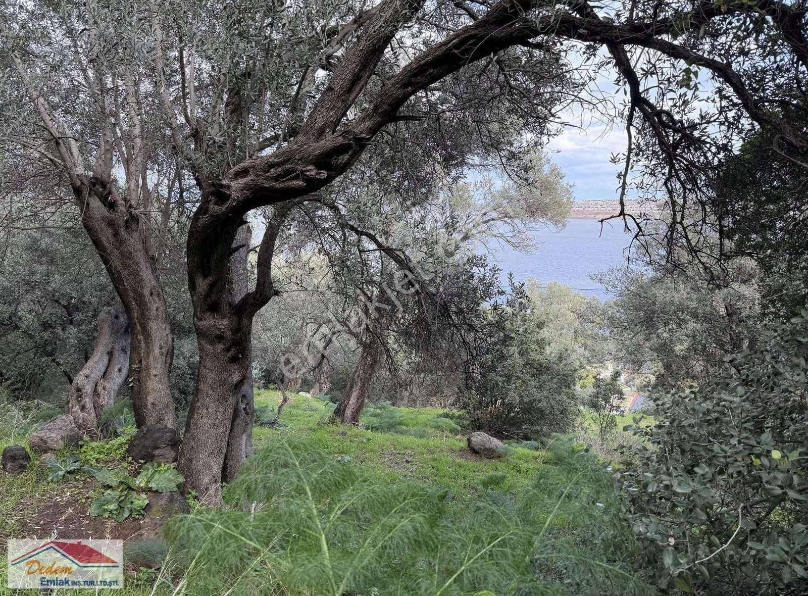 Bodrum Gündoğan Deniz Manzara Ve Denize 2 Parsel Satılık Arsa - Görsel 9
