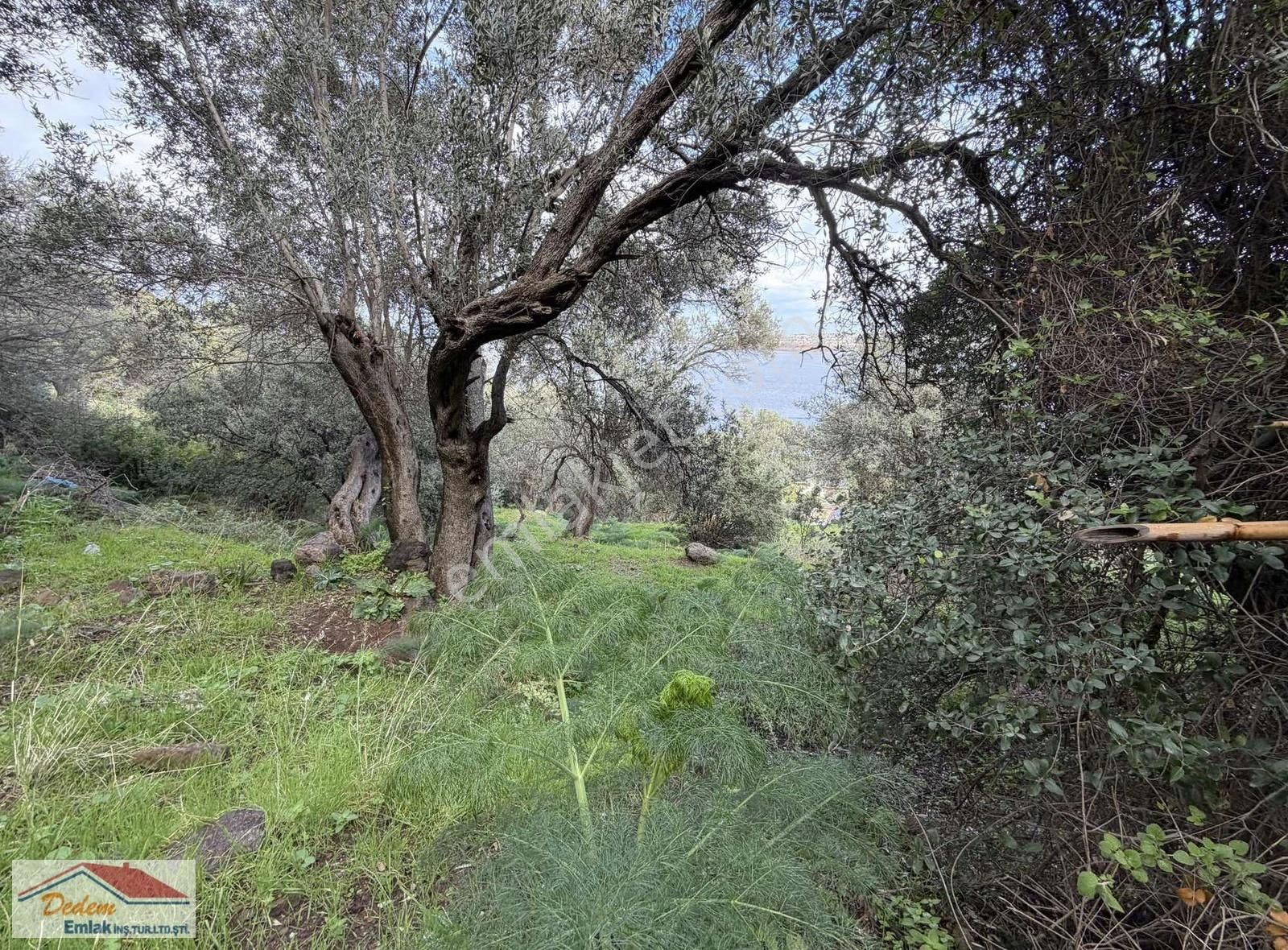Bodrum Gündoğan Deniz Manzara Ve Denize 2 Parsel Satılık Arsa - Görsel 6