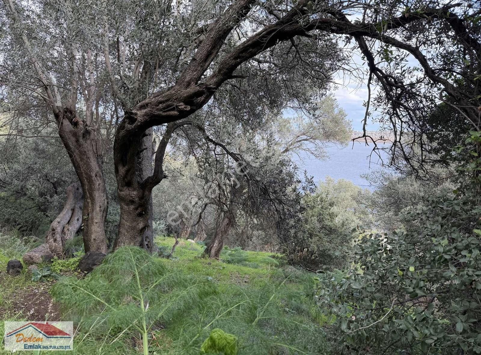 Bodrum Gündoğan Deniz Manzara Ve Denize 2 Parsel Satılık Arsa