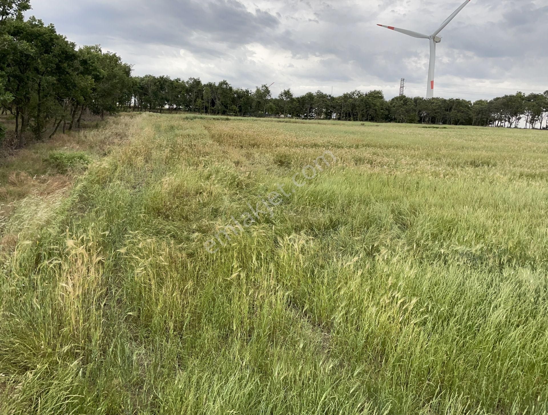 Yatırımlık 3,5 Dönüm Tarla Yolu Suyu Mevcuttur