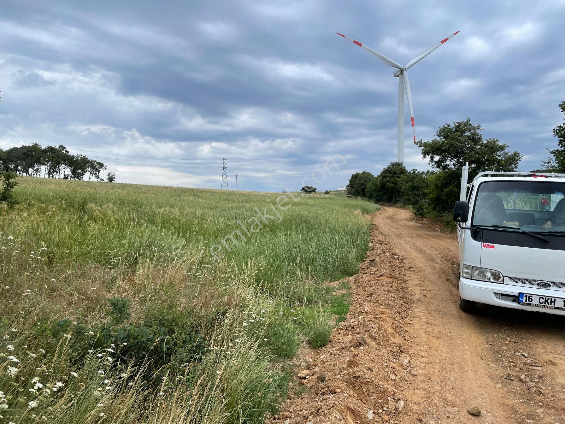 Yatırımlık 3,5 Dönüm Tarla Yolu Suyu Mevcuttur - Görsel 10