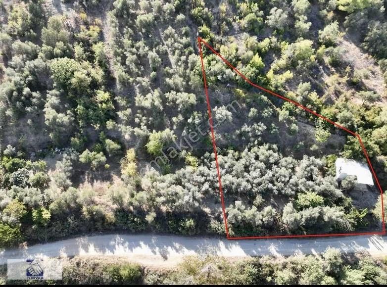 Hacı Ali Köyünde Satılık Bahçe