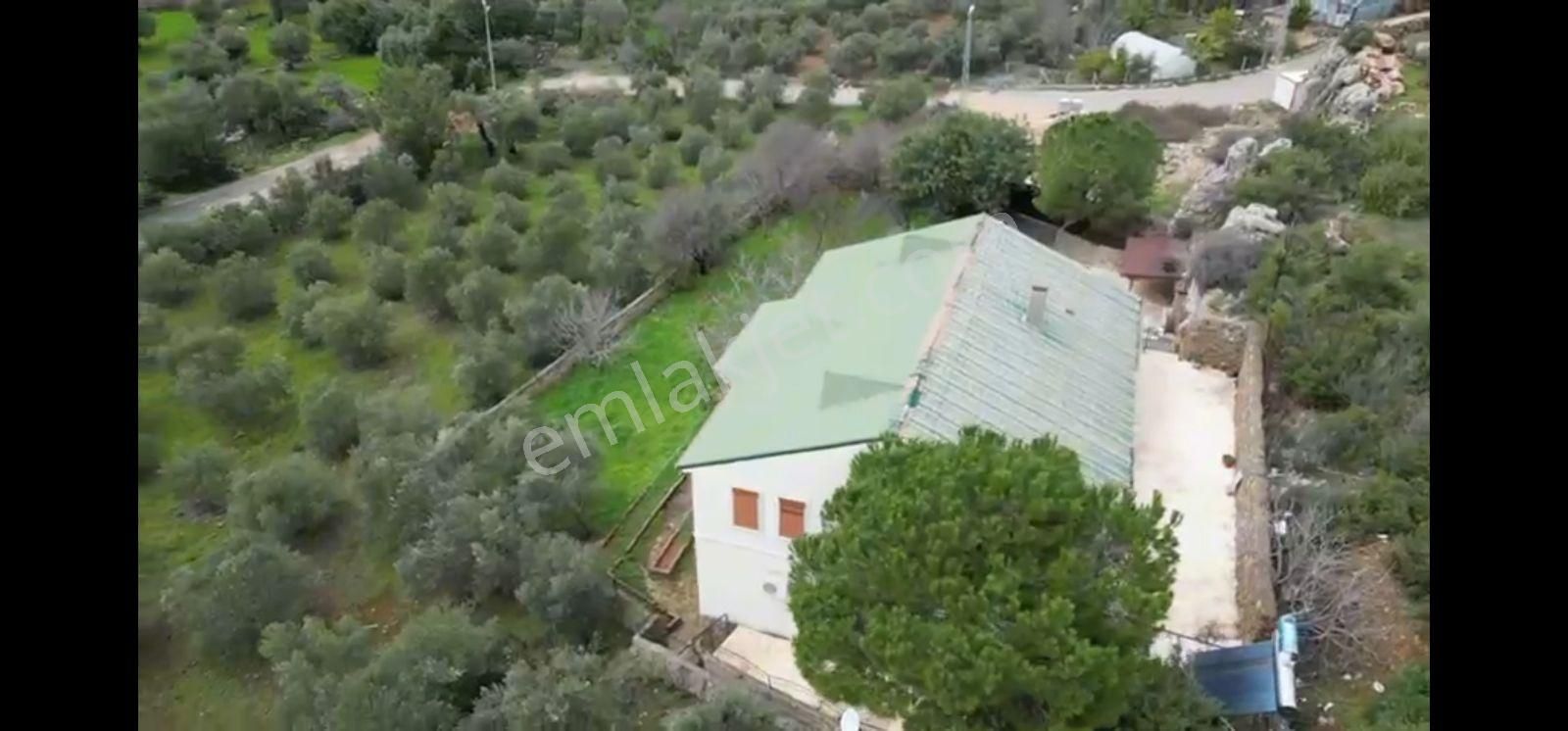 Şehir Hastahanesi Yakını 900 M2 Arsa İçerisinde 7+3 Malik Hane - Görsel 3