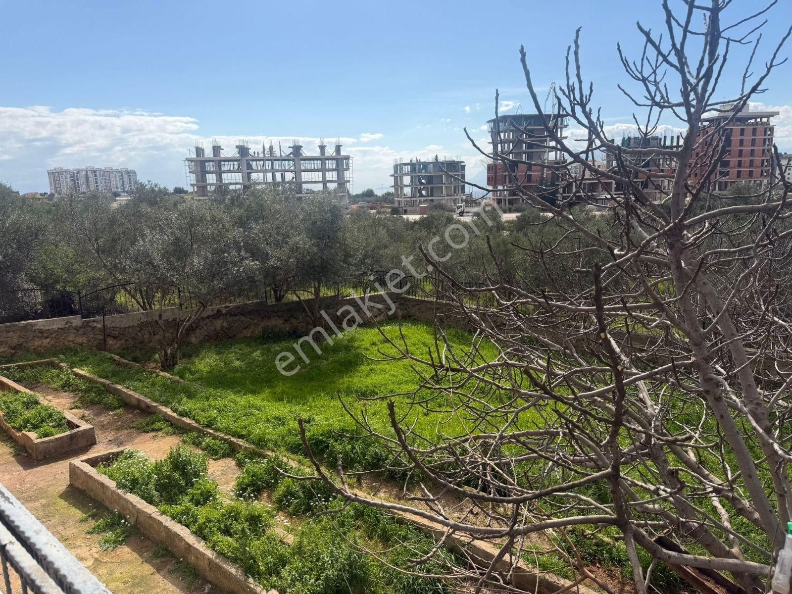 Şehir Hastahanesi Yakını 900 M2 Arsa İçerisinde 7+3 Malik Hane - Görsel 14