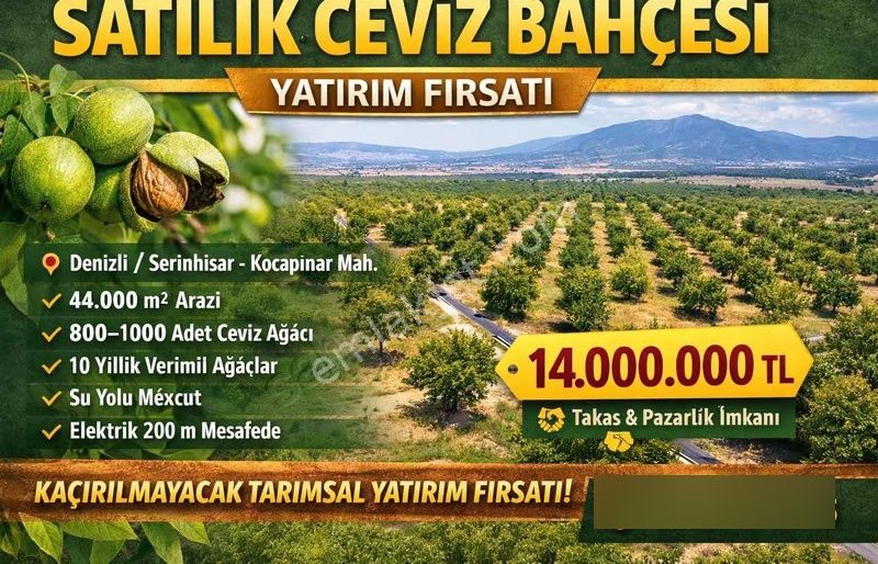 Serinhisar Kocapınar Mh 44 000 M2 Satılık Ceviz Bahçesi