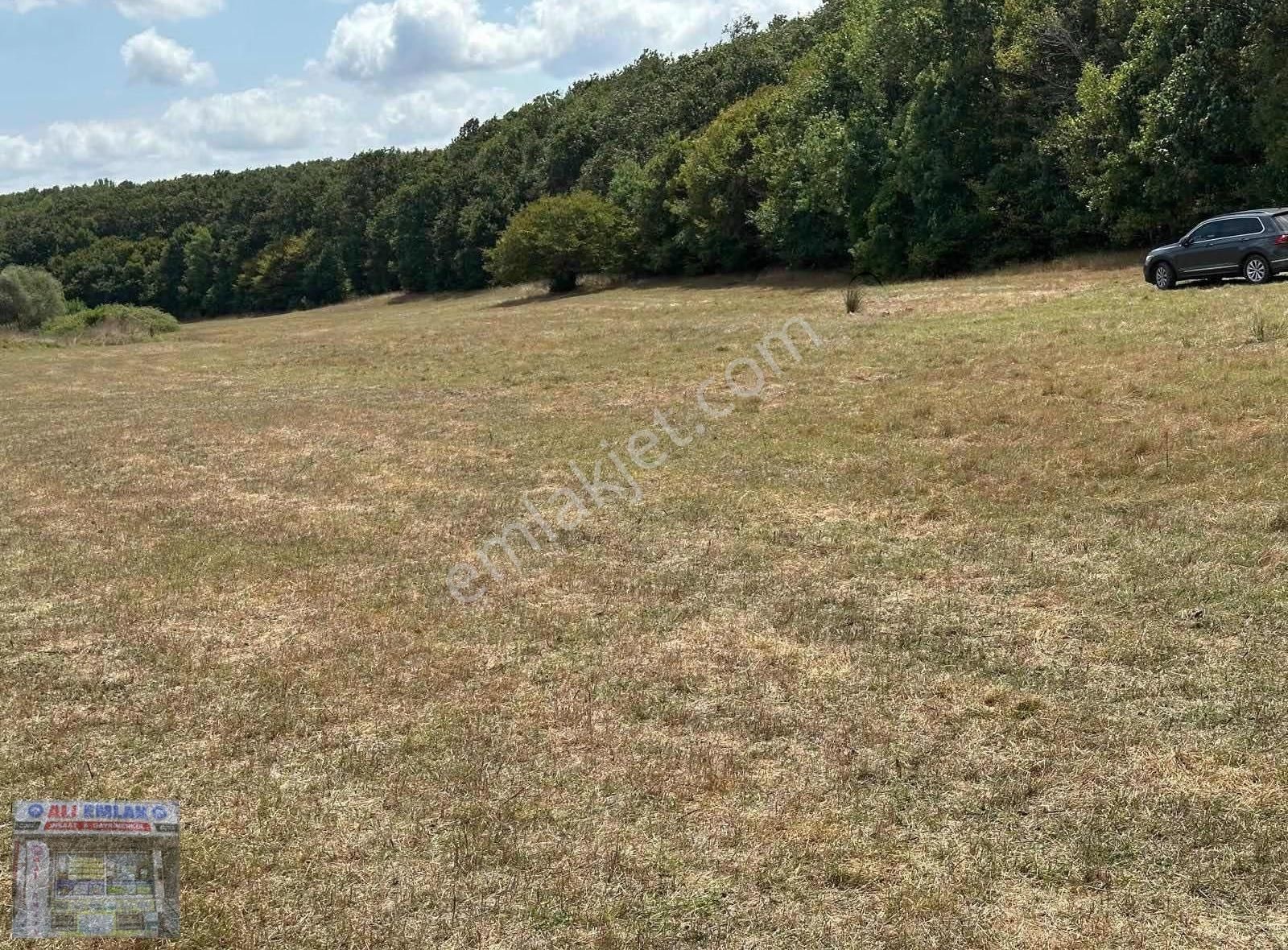 Çatalca Belgrat'ta 300metre Çaplı Muvafakatnameli - Görsel 2