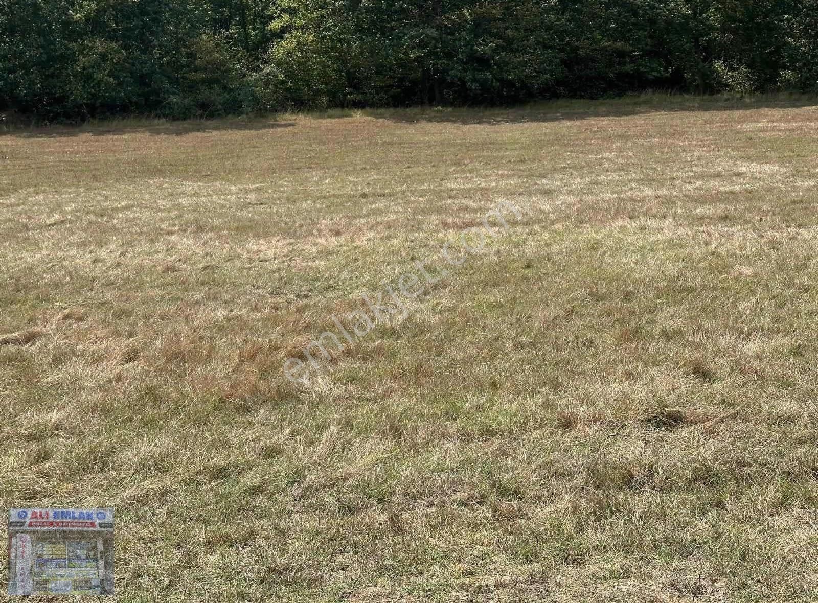 Çatalca Belgrat'ta 300metre Çaplı Muvafakatnameli