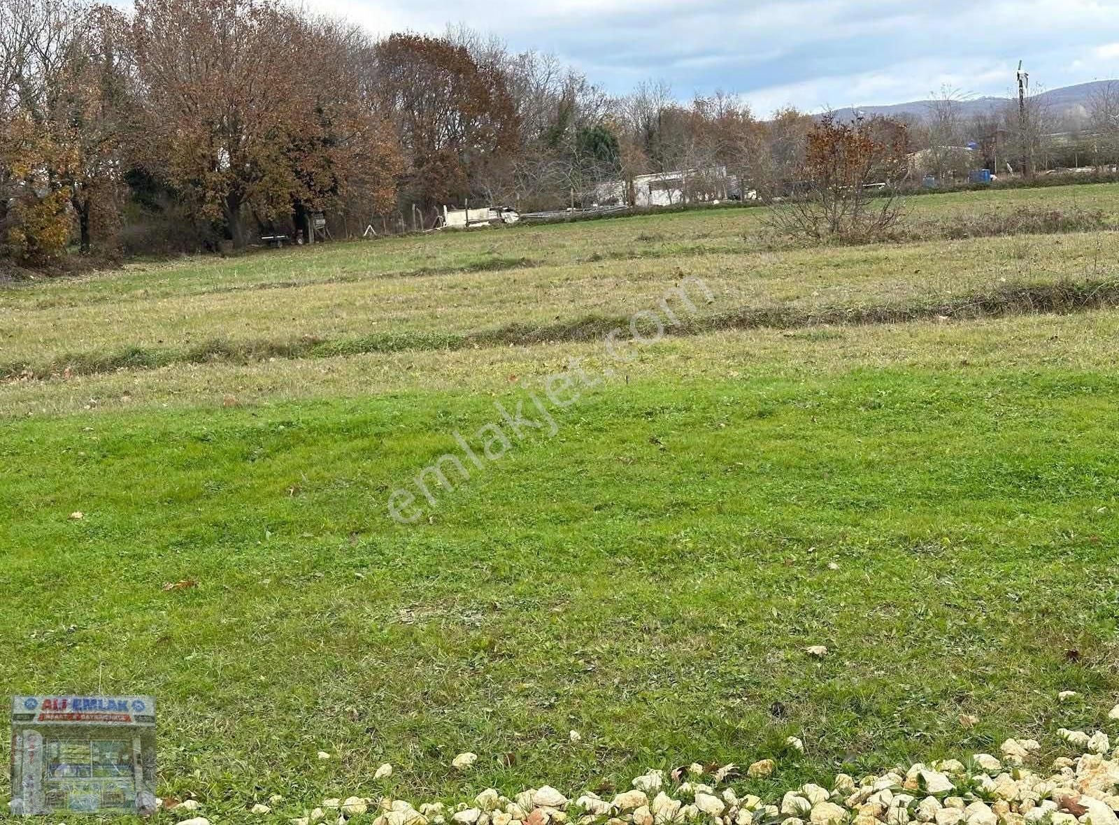 Çatalca Belgrat'ta 132metre Çaplı Muvafakatnameli Çevrili - Görsel 5