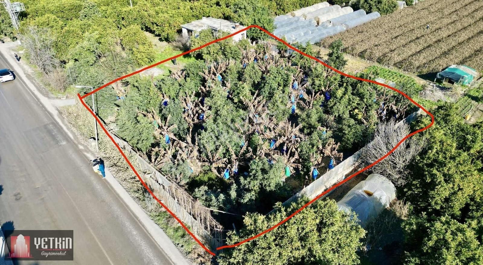 Alanya Kestel'de Ana Yola Sıfır Kiralık 1100m2 Tarla - Görsel 5