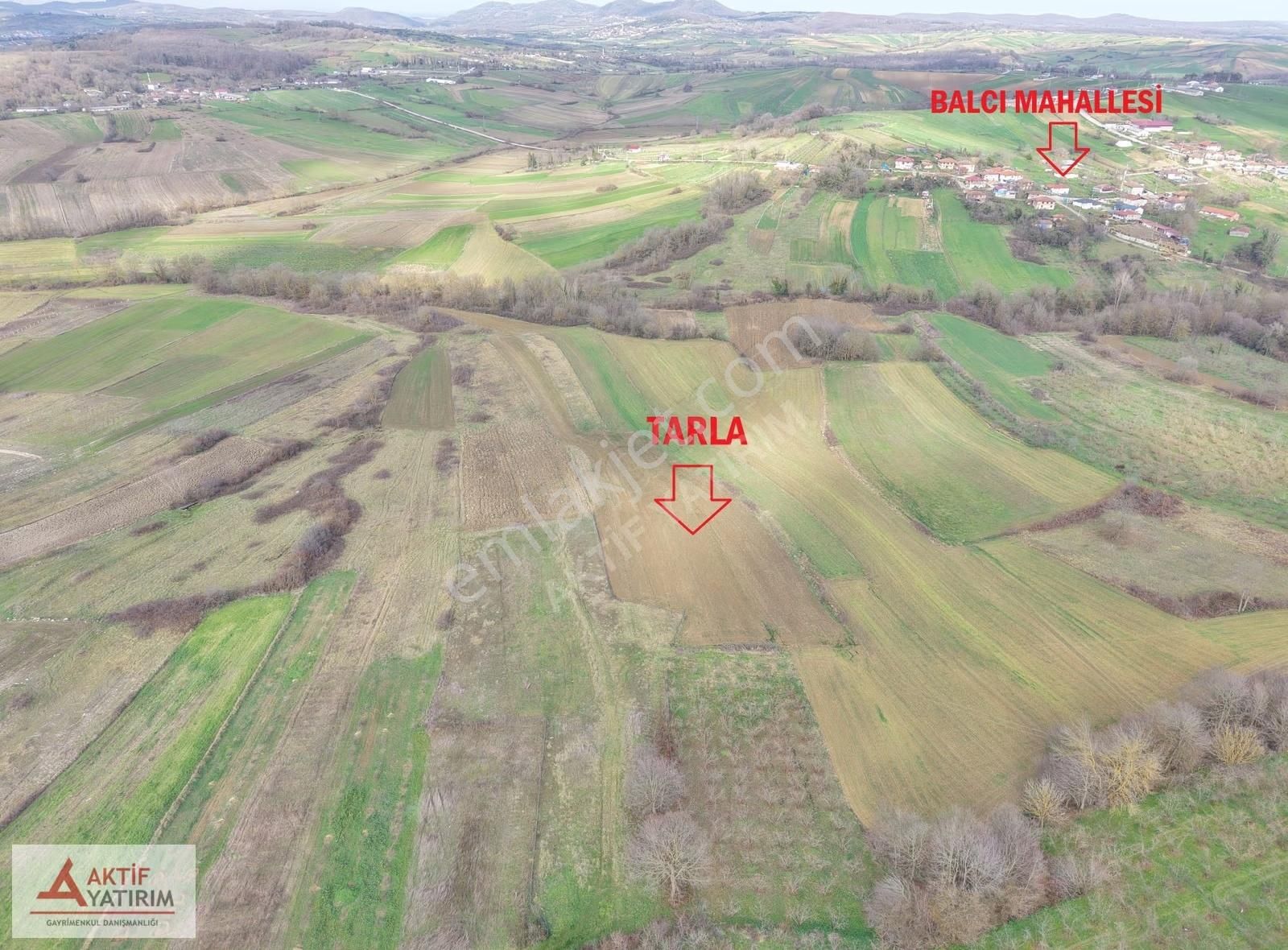 Kandıra Merkeze Yakın 2293 M2 Toprak Reformu İçinde Uygun Tarla - Görsel 9