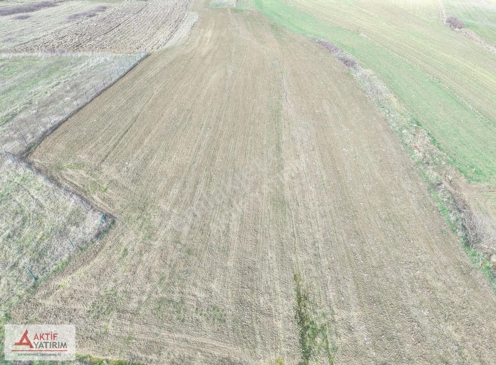 Kandıra Merkeze Yakın 2293 M2 Toprak Reformu İçinde Uygun Tarla - Görsel 6