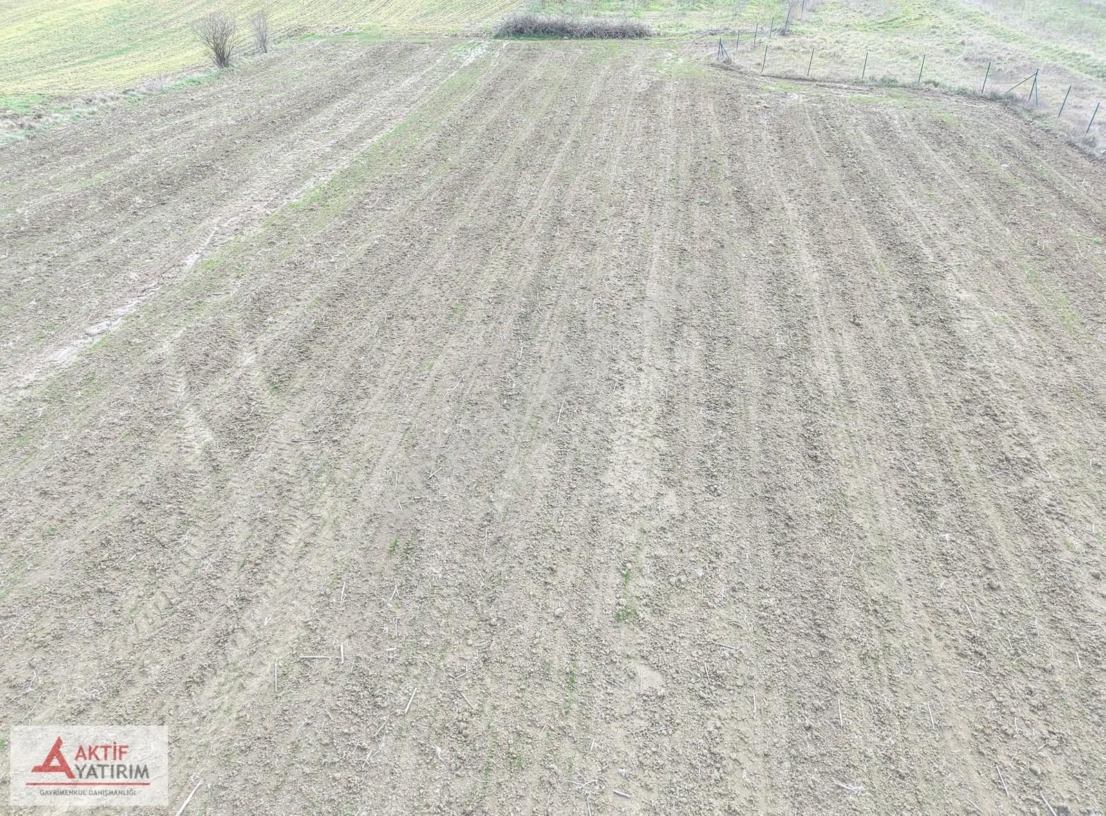 Kandıra Merkeze Yakın 2293 M2 Toprak Reformu İçinde Uygun Tarla - Görsel 7