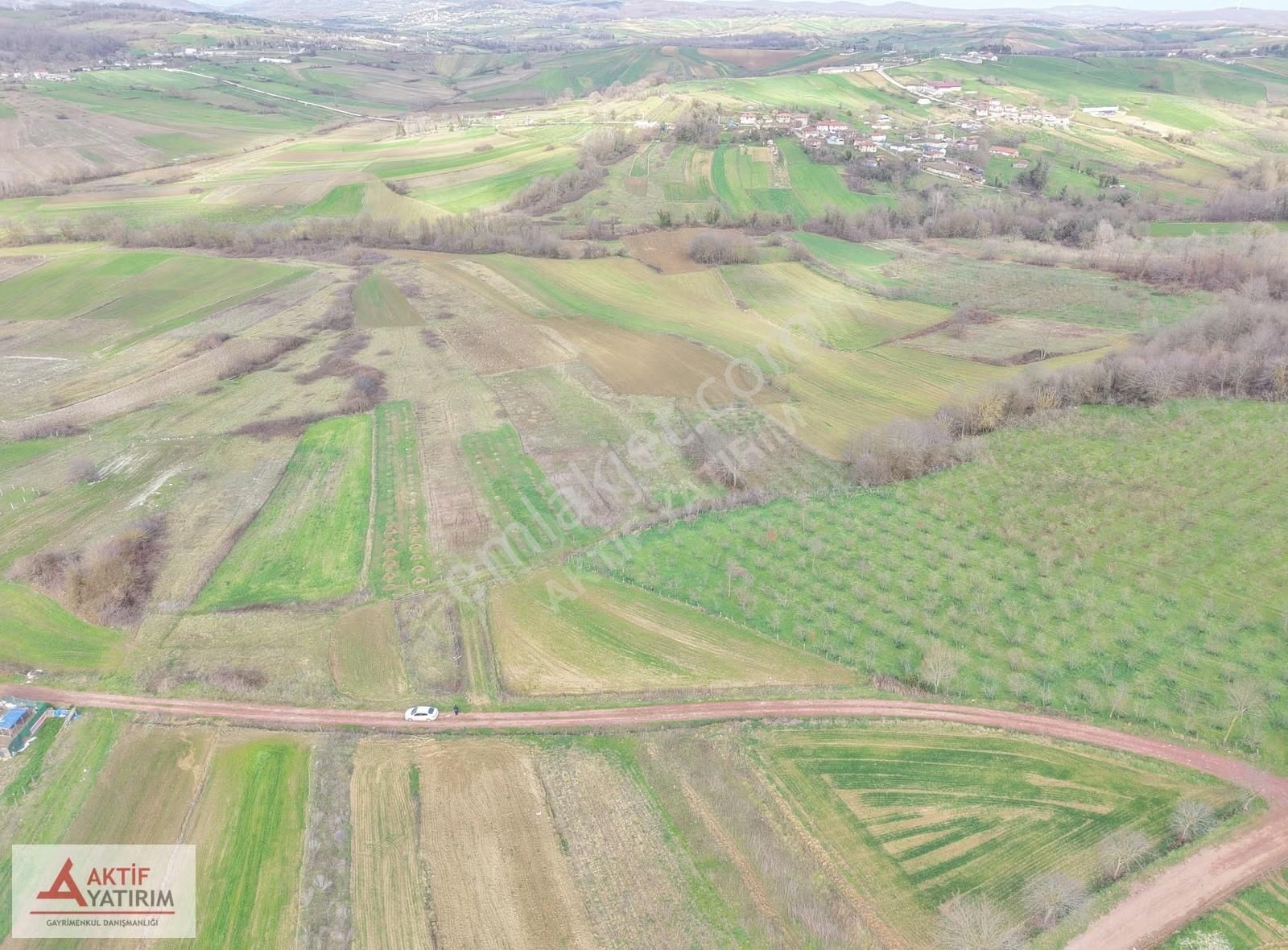 Kandıra Merkeze Yakın 2293 M2 Toprak Reformu İçinde Uygun Tarla - Görsel 19