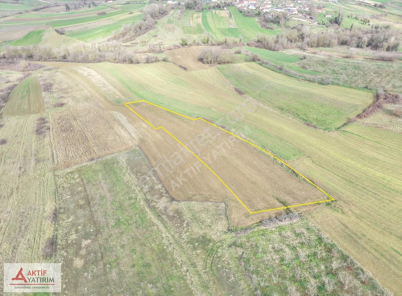 Kandıra Merkeze Yakın 2293 M2 Toprak Reformu İçinde Uygun Tarla - Görsel 15