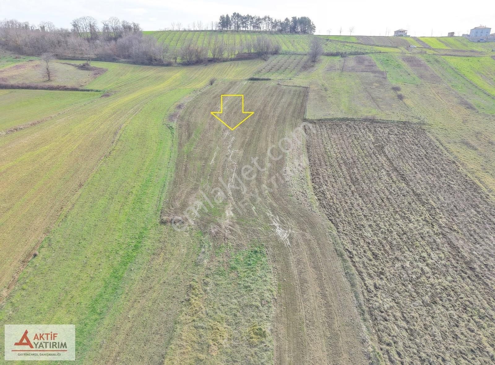 Kandıra Merkeze Yakın 2293 M2 Toprak Reformu İçinde Uygun Tarla - Görsel 17