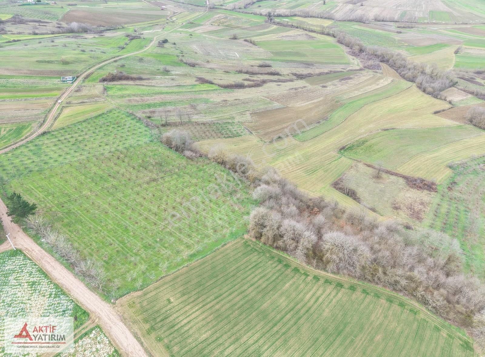 Kandıra Merkeze Yakın 2293 M2 Toprak Reformu İçinde Uygun Tarla - Görsel 11