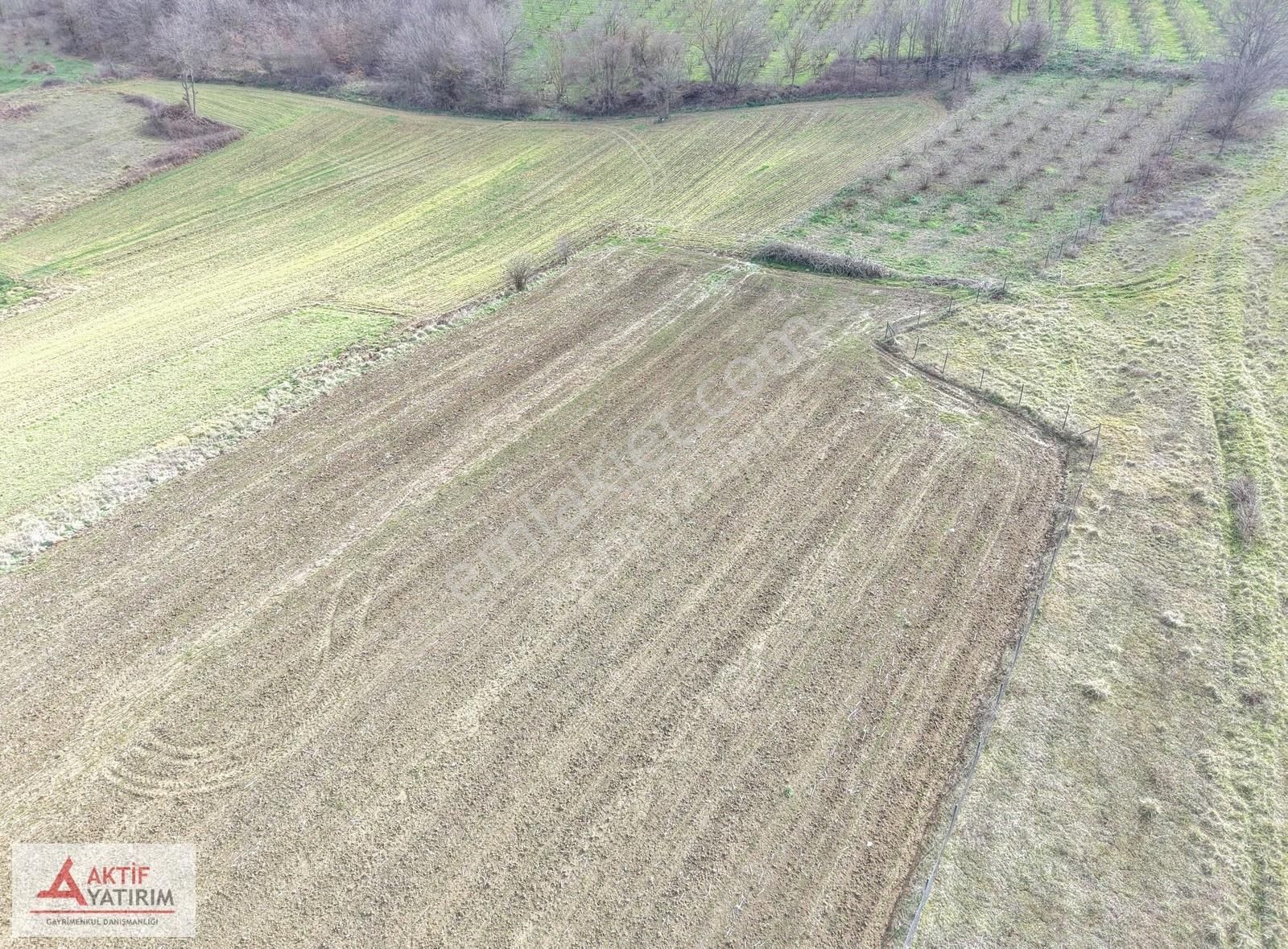 Kandıra Merkeze Yakın 2293 M2 Toprak Reformu İçinde Uygun Tarla - Görsel 18