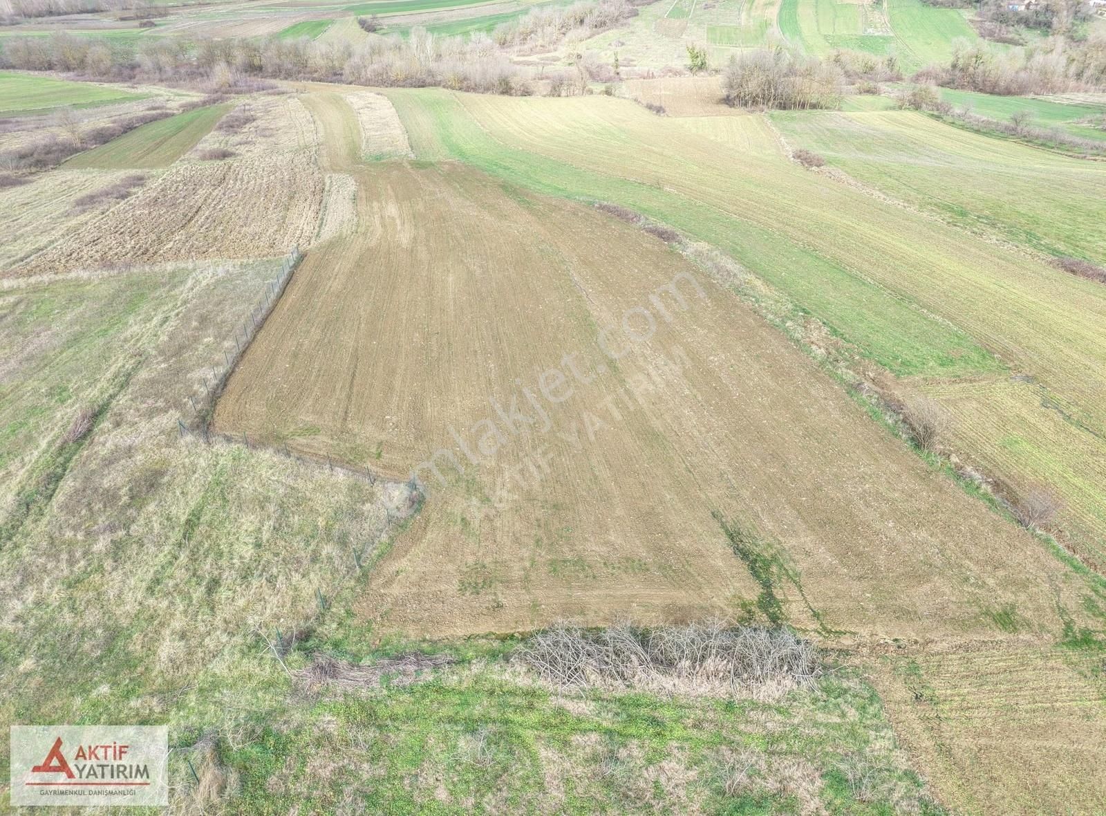 Kandıra Merkeze Yakın 2293 M2 Toprak Reformu İçinde Uygun Tarla - Görsel 10