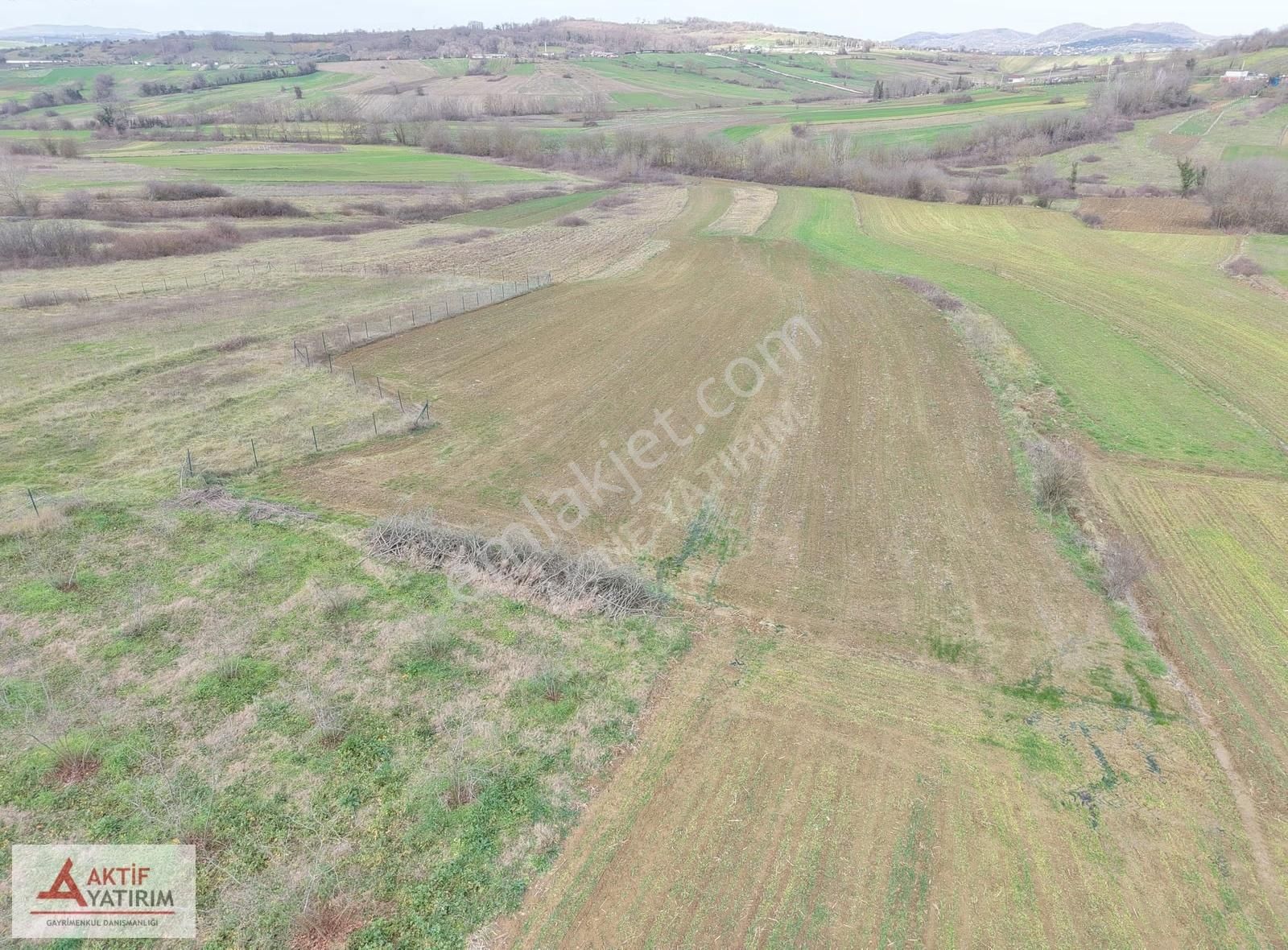 Kandıra Merkeze Yakın 2293 M2 Toprak Reformu İçinde Uygun Tarla - Görsel 5