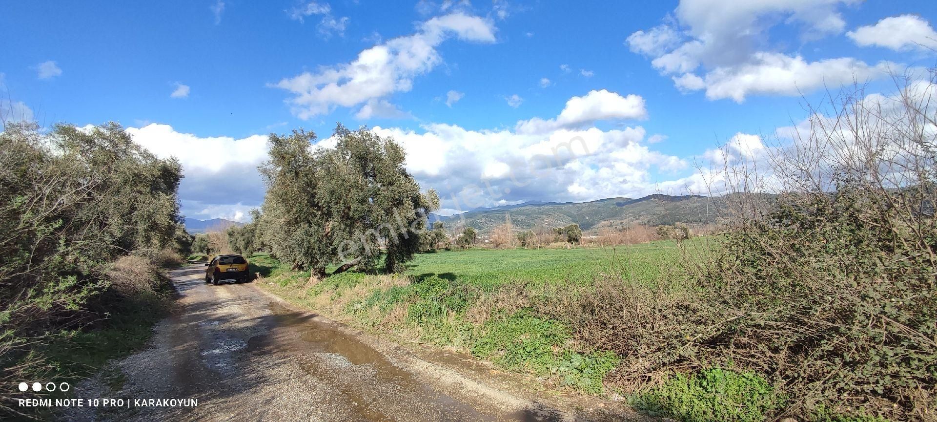 Milas Hisarcık