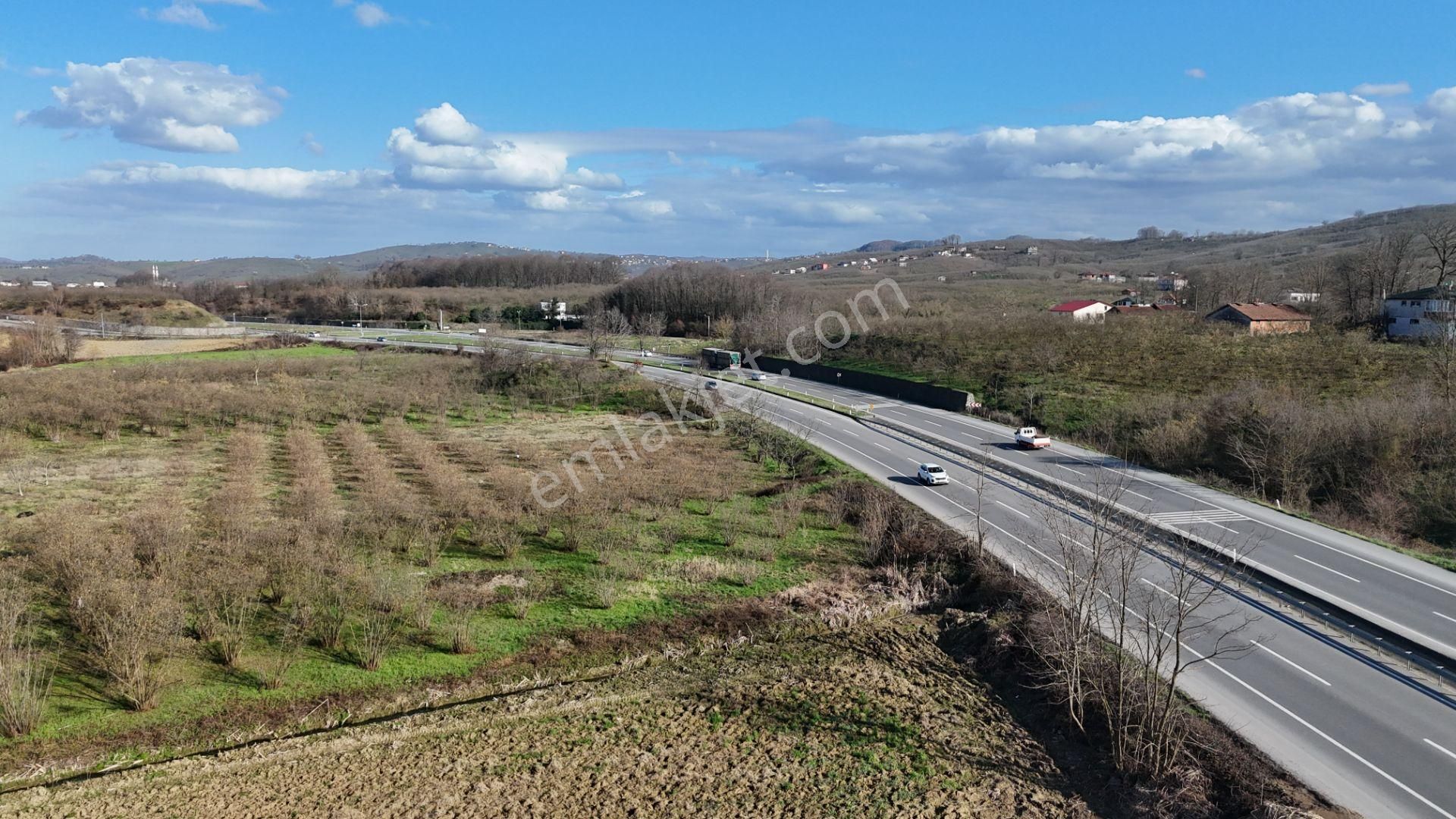 Re/max Mavi'den Limanderede Ana Yola Sıfır Yatırımlık Fındıklık - Görsel 15