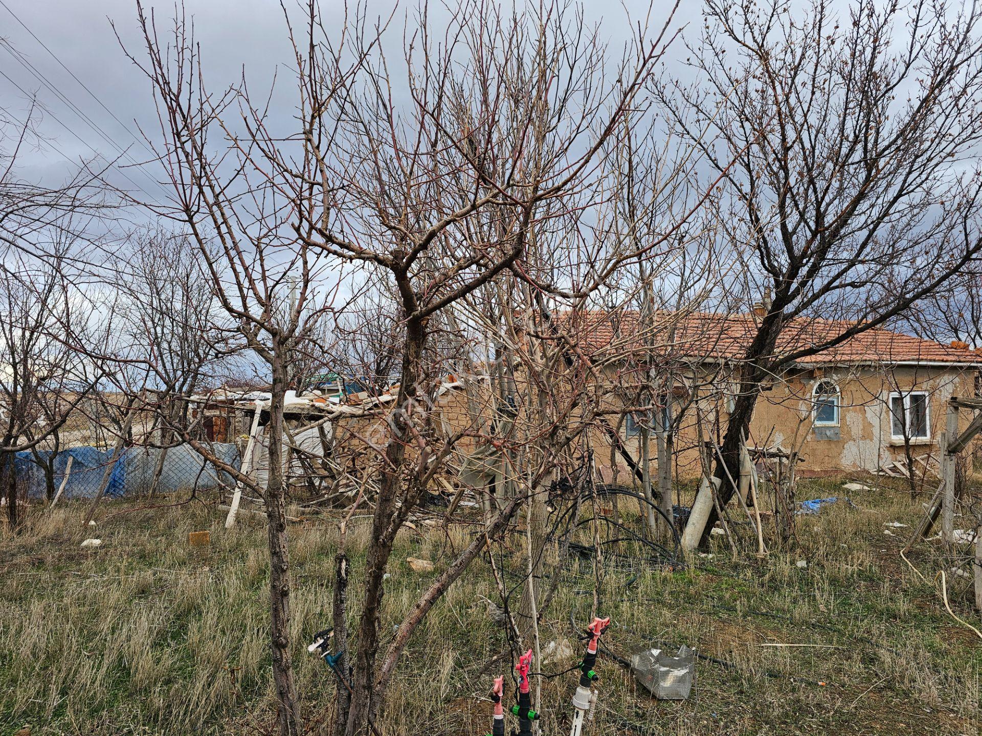 İşyapar Gayrimenkulden Şebeke Suyu Ve Elektiriği Bulunan Bahçe - Görsel 19