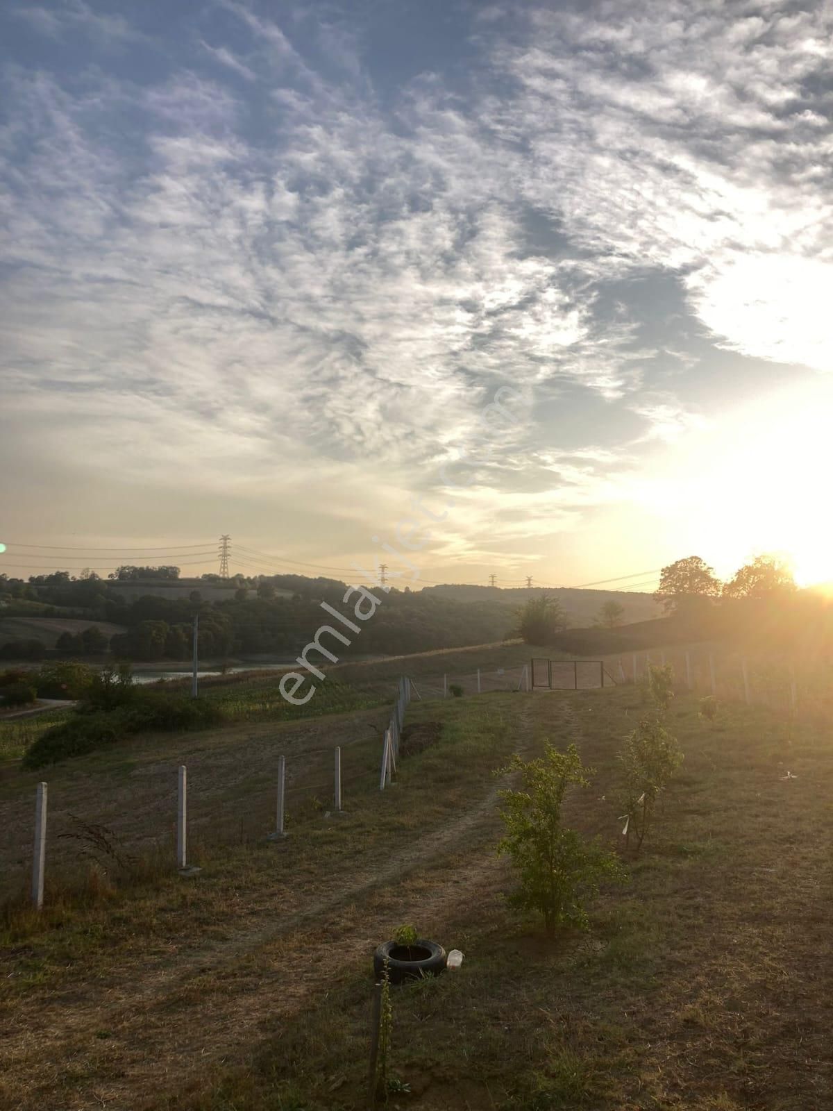 Adapazarı Salmanlı Mah. Göl Ve Orman Manzaralı Bungalov Ev - Görsel 5