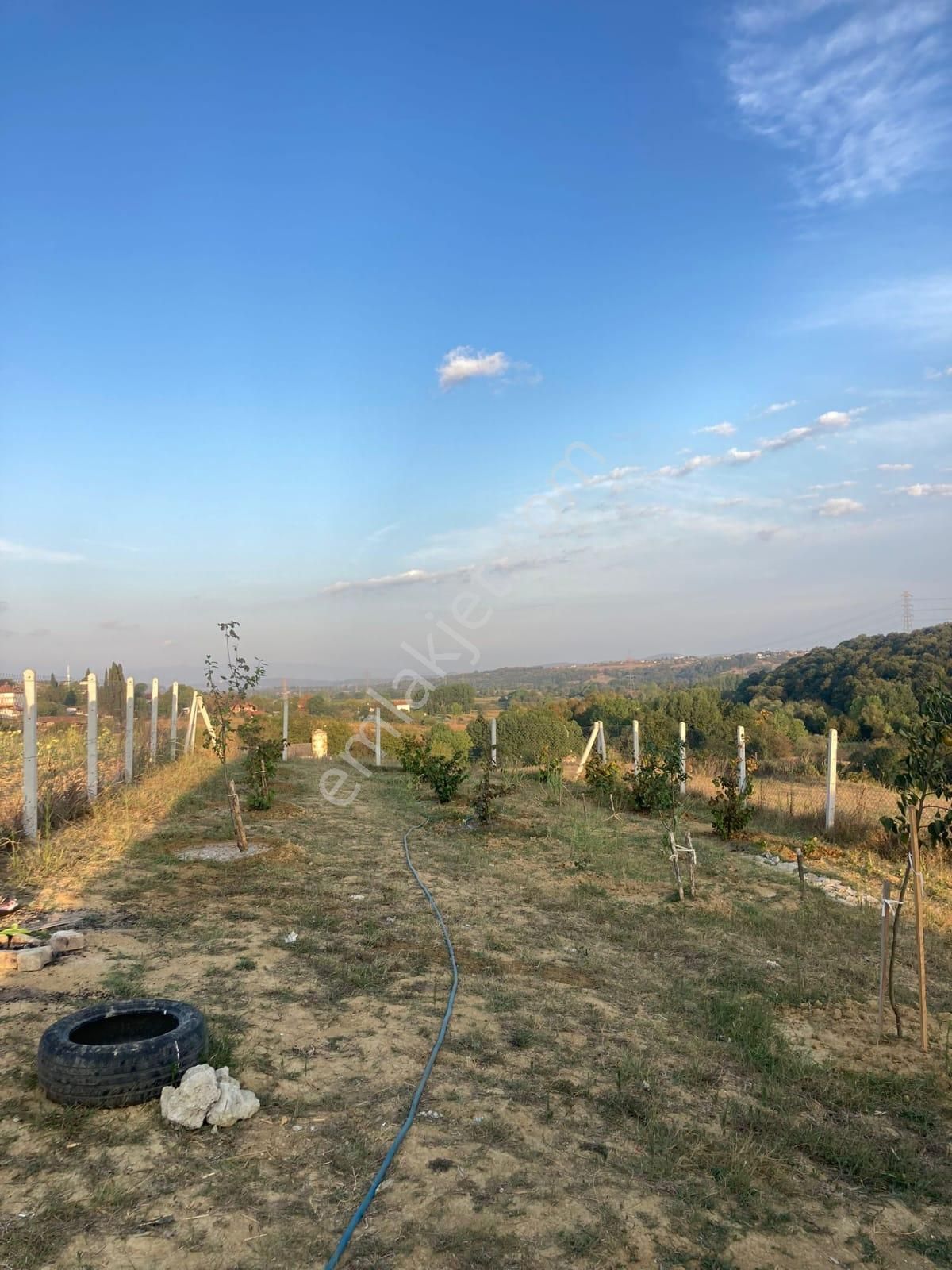 Adapazarı Salmanlı Mah. Göl Ve Orman Manzaralı Bungalov Ev - Görsel 10