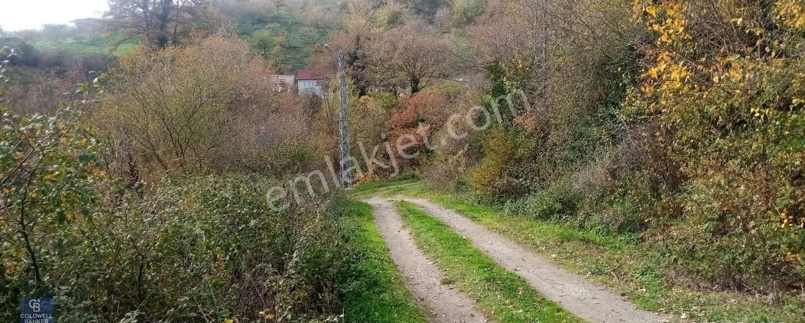 Geyve Akincida Manzaralı Yola Cepheli Satılık Tarla Elektrik Var - Görsel 2