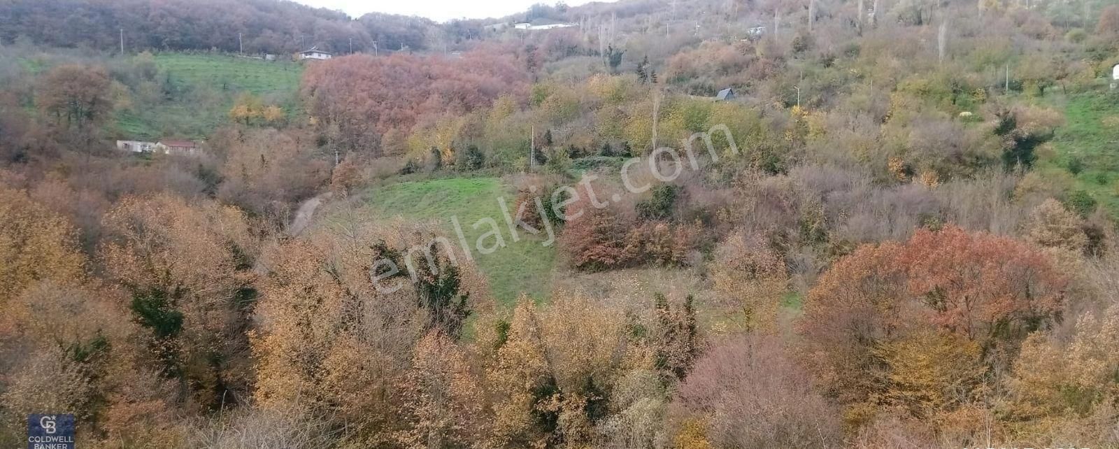 Geyve Akincida Manzaralı Yola Cepheli Satılık Tarla Elektrik Var - Görsel 3