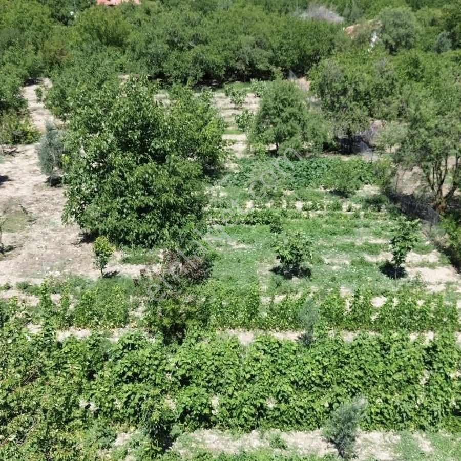 Korkuteli Çomaklı Mah. 1893m2 Satılık Tarla+bağ Bahçe - Görsel 3