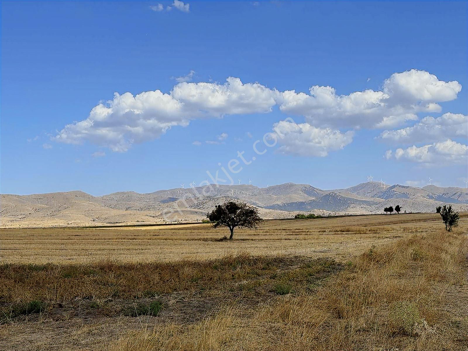 Bahçe Olur 1.040 M2 - Görsel 5