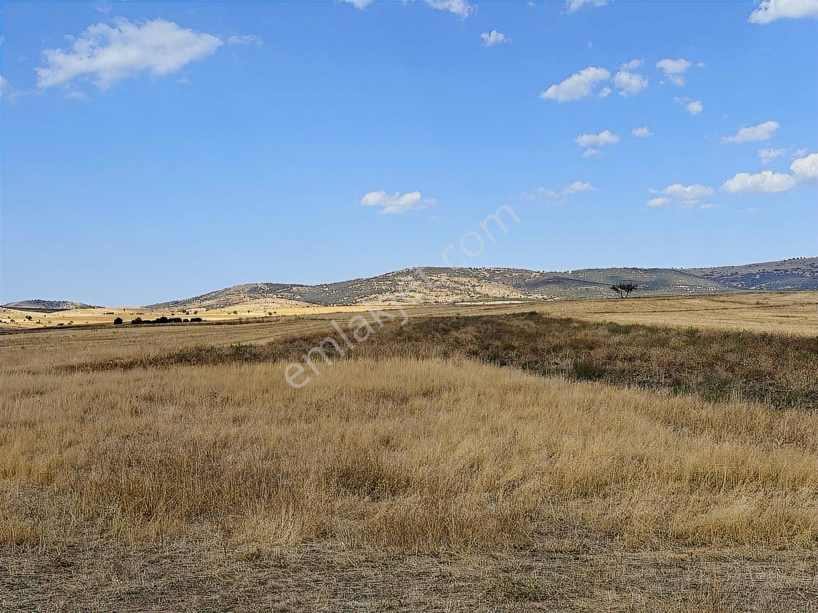 Bahçe Olur 1.040 M2 - Görsel 6