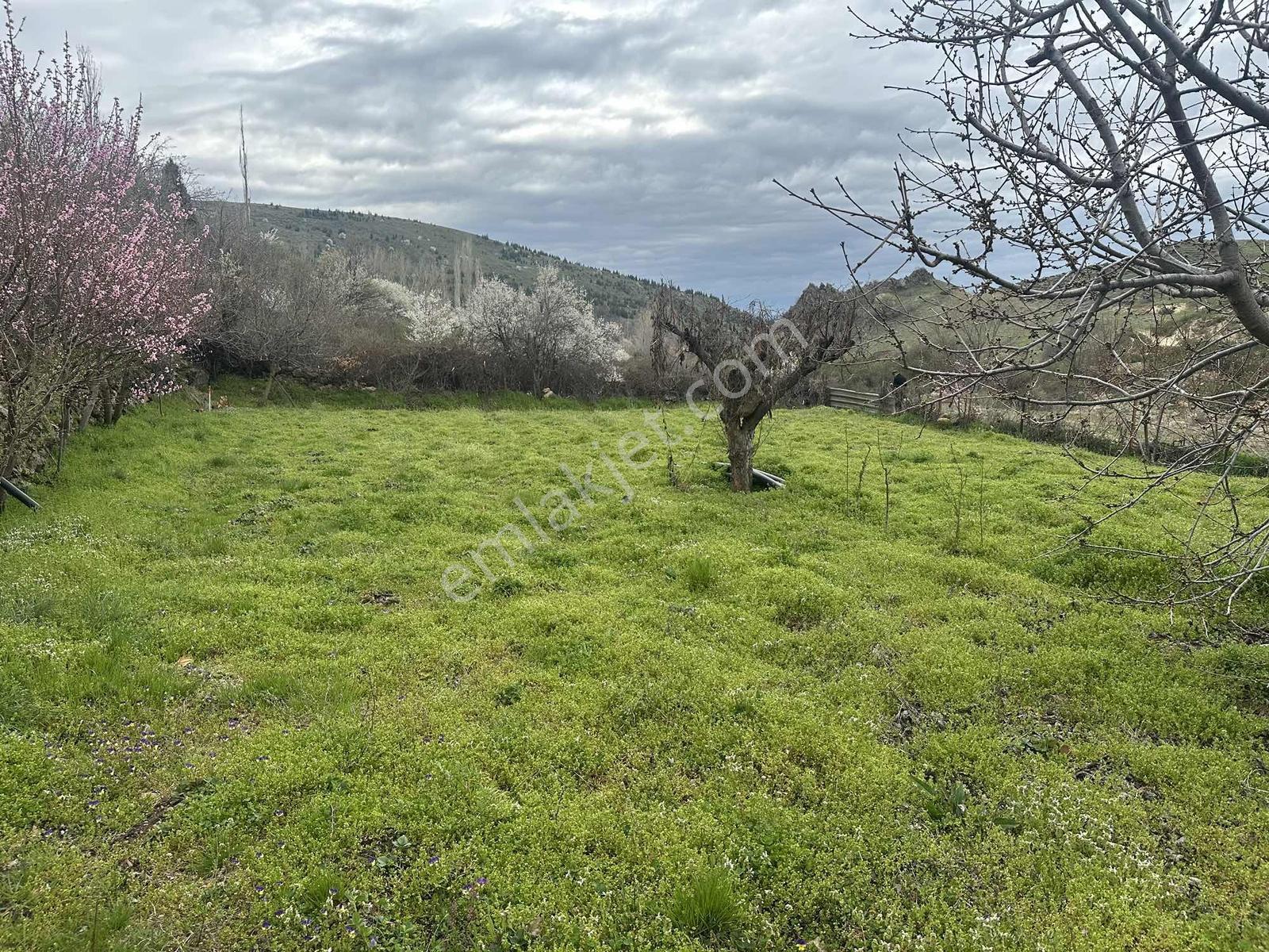 Karacaören De 990 M2 Bahçe - Görsel 4