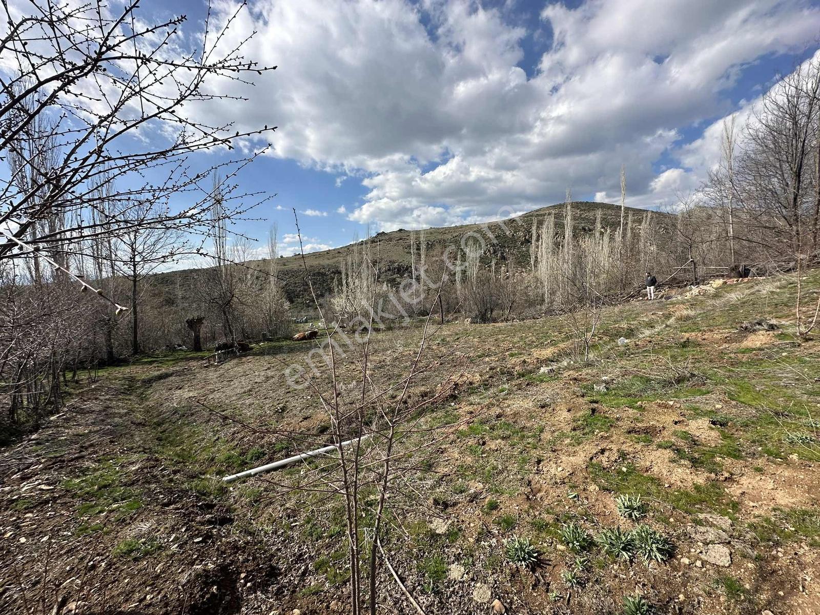 Yeşilin Ve Mavinin Birleştiği Yerde 892m2 - 655 M2 Bahçeler - Görsel 8