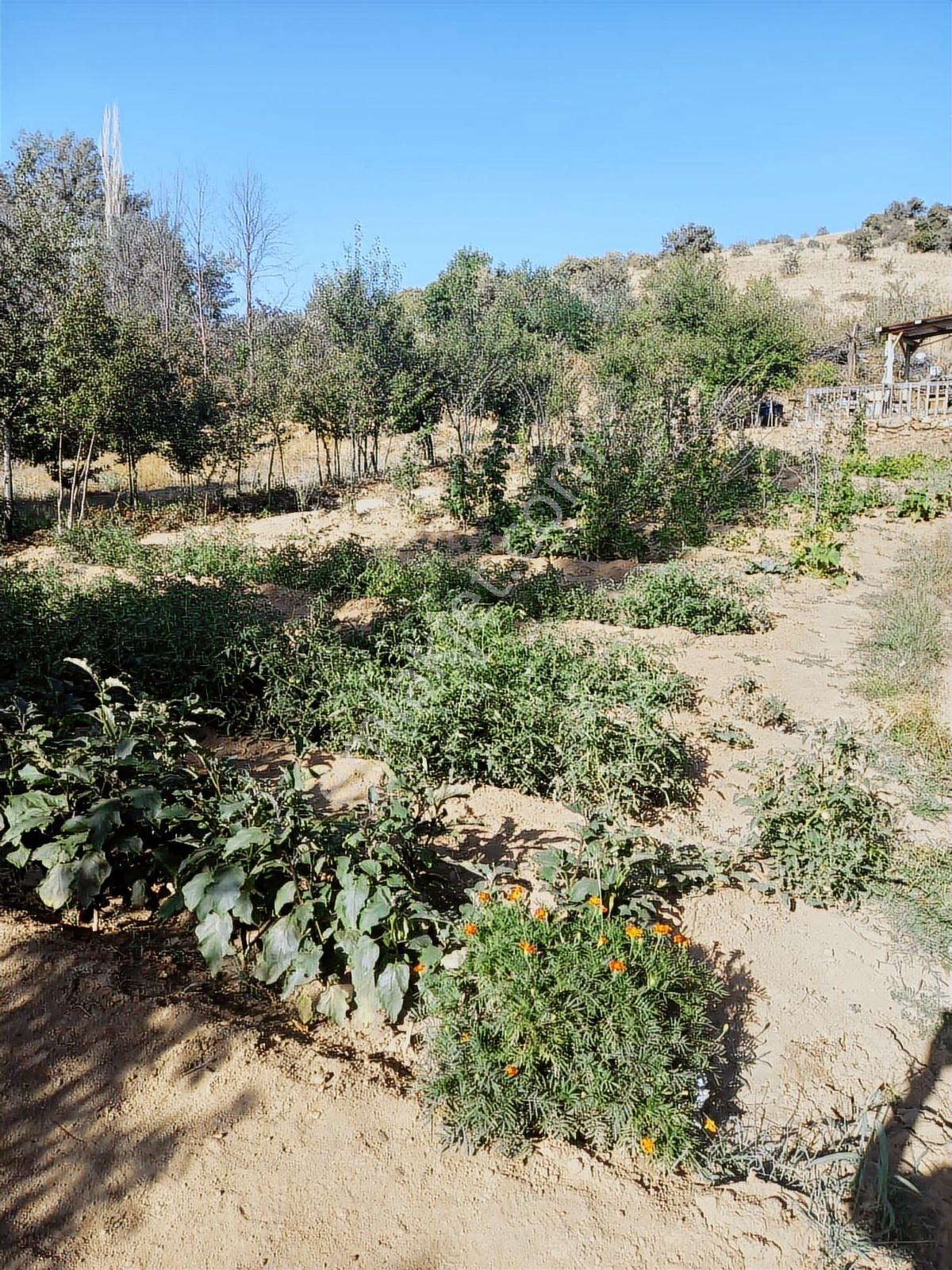 Yeşilin Ve Mavinin Birleştiği Yerde 892m2 - 655 M2 Bahçeler - Görsel 21