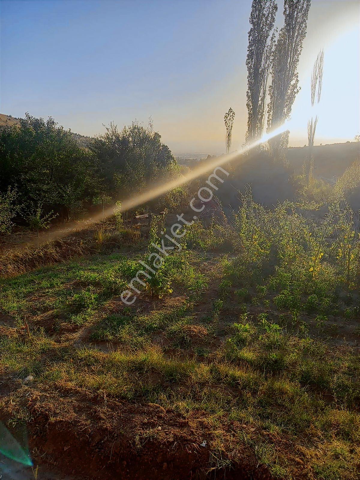 Yeşilin Ve Mavinin Birleştiği Yerde 892m2 - 655 M2 Bahçeler - Görsel 12