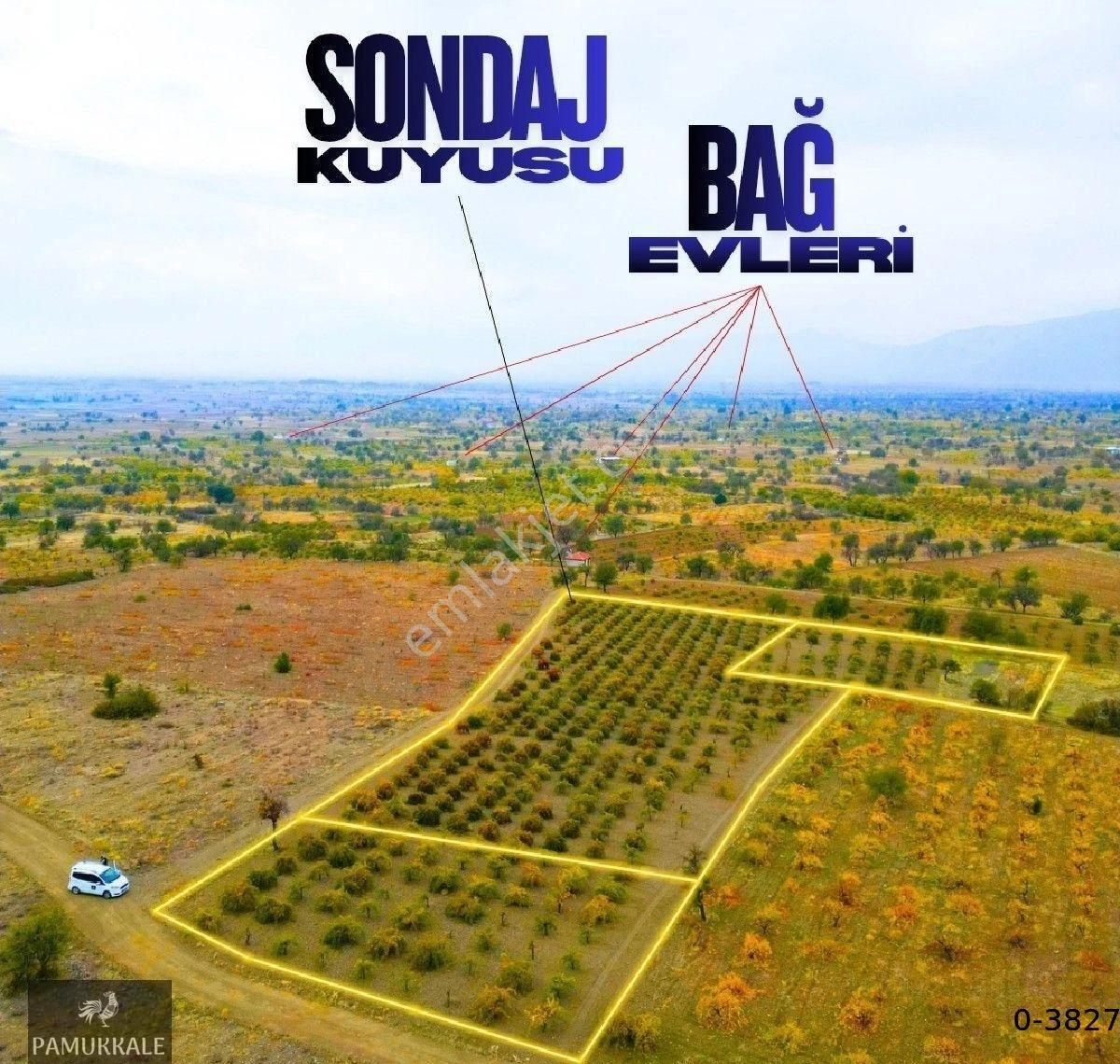 Acıpayamdaki Bu Tarlayı Al 2 Senede Amorti Et - Görsel 2