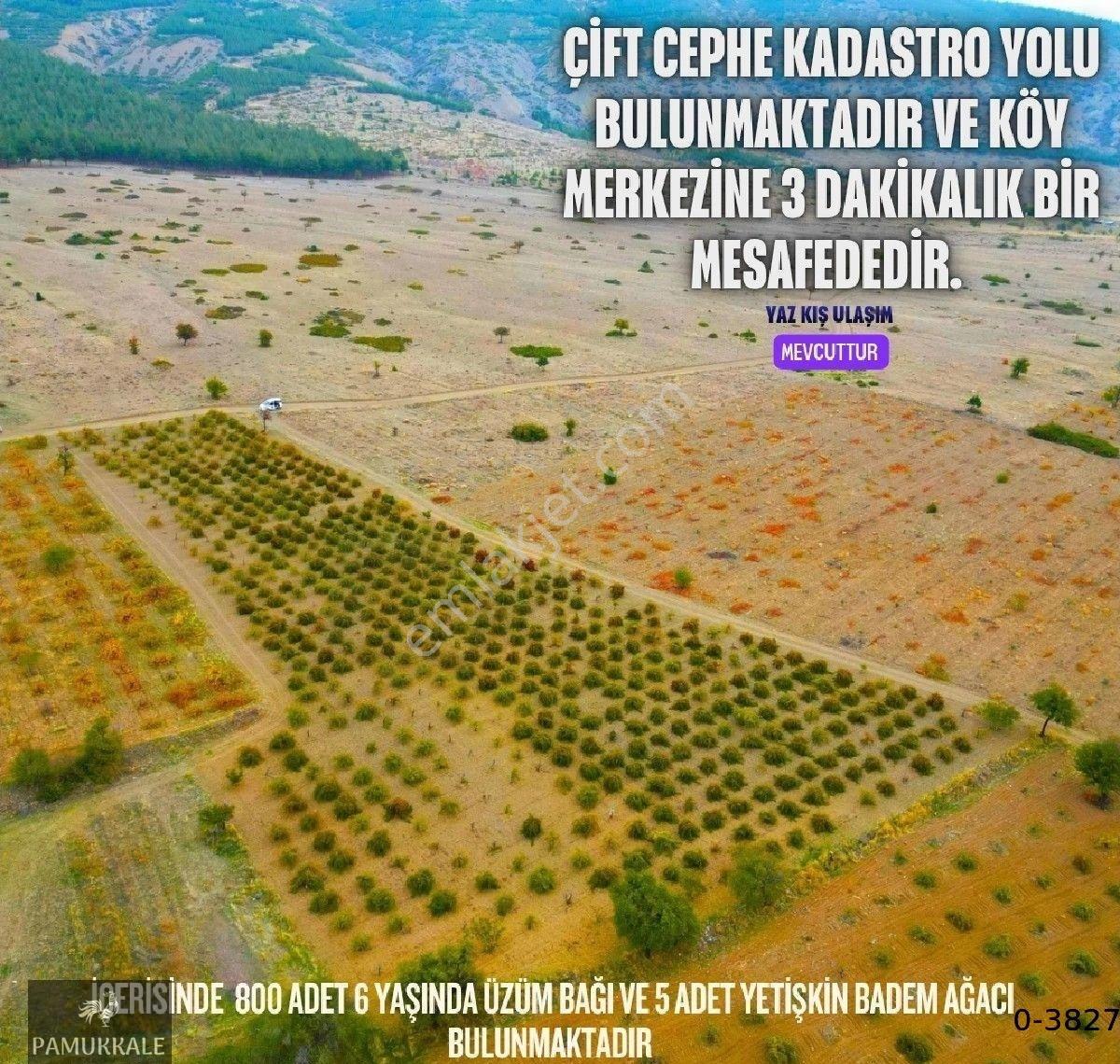 Acıpayamdaki Bu Tarlayı Al 2 Senede Amorti Et - Görsel 5