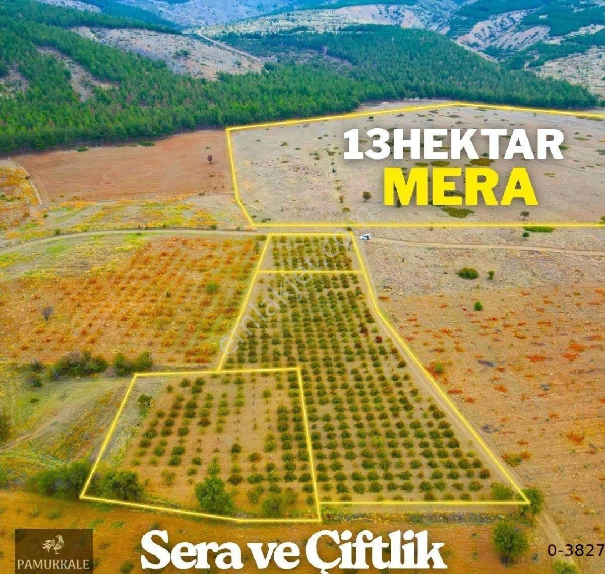 Acıpayamdaki Bu Tarlayı Al 2 Senede Amorti Et - Görsel 3
