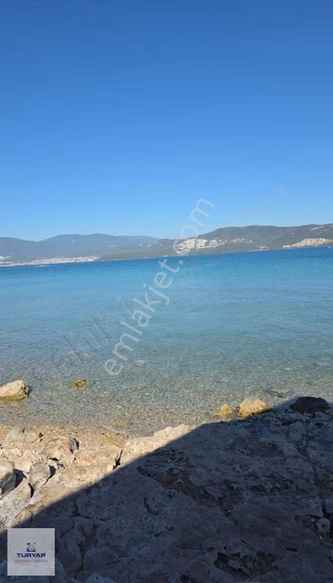 Didim Uslu Plajına Yürüme Mesafesinde Fırsatlı Arsa