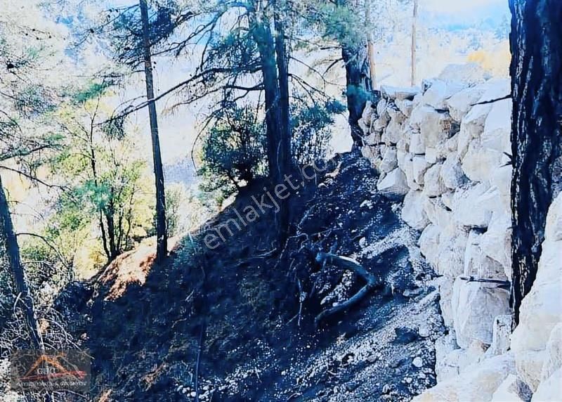 Konyaaltı Doyran Da Köy İçi Köşe Parsel Tek Tapu 610 Mt Tarla - Görsel 5