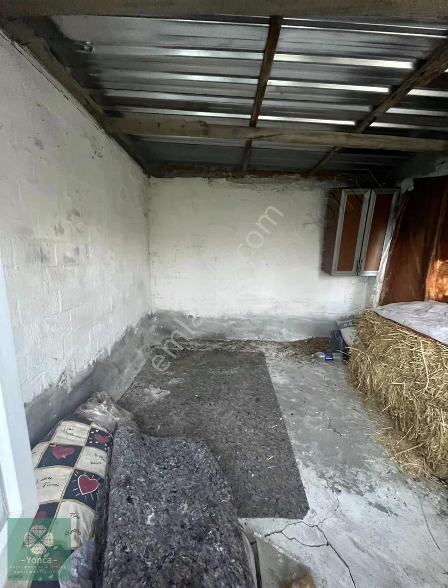 Yonca Soma Gyo 7 Dönüm Satılık Zeytinlik - Görsel 12