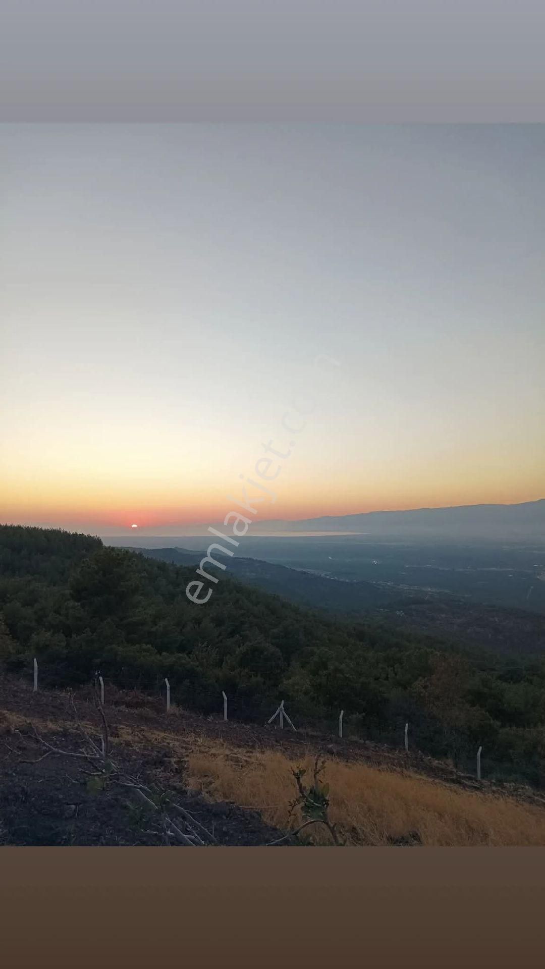 Sahibinden Satılık Hobi Bahçesi - Görsel 2